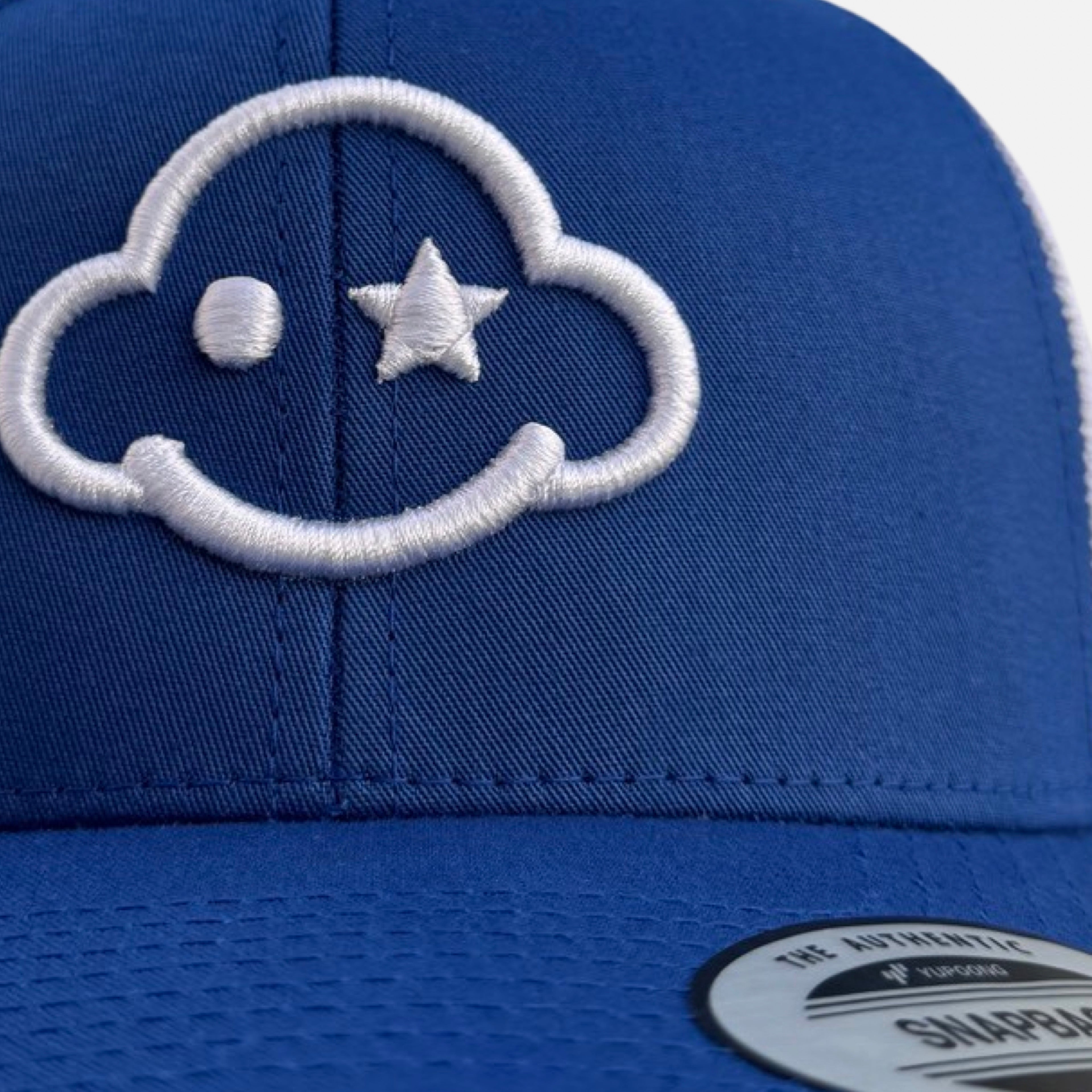 curved - trucker snapback