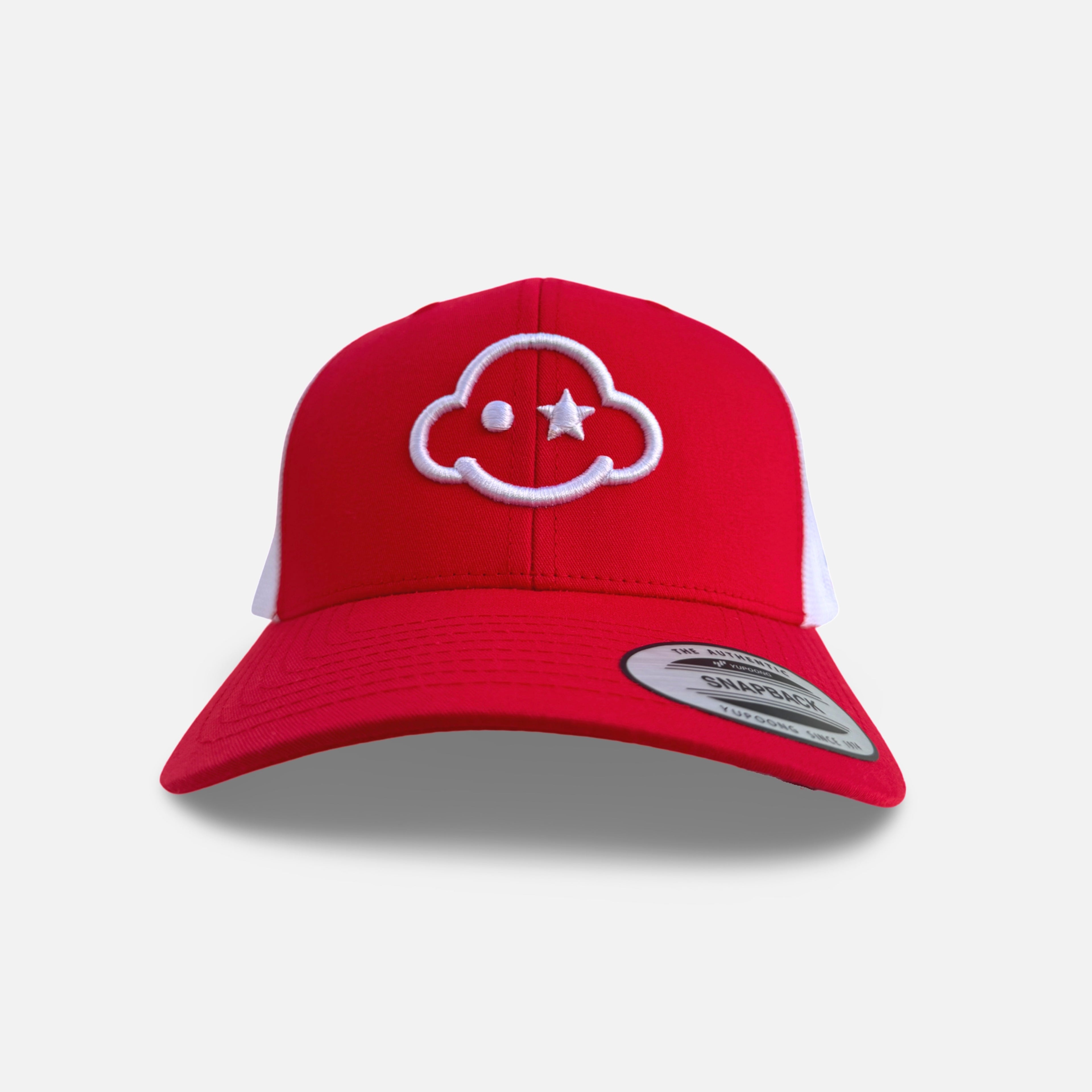 curved - trucker snapback