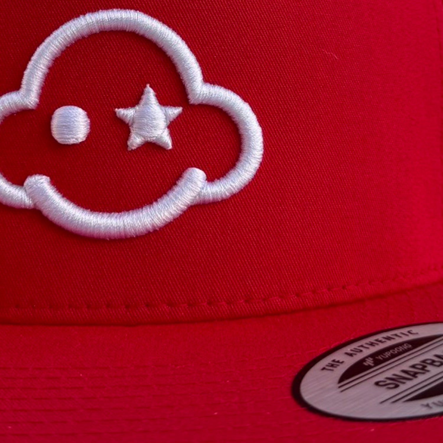 curved - trucker snapback