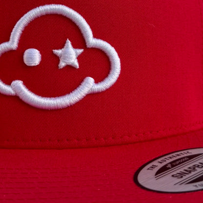 curved - trucker snapback