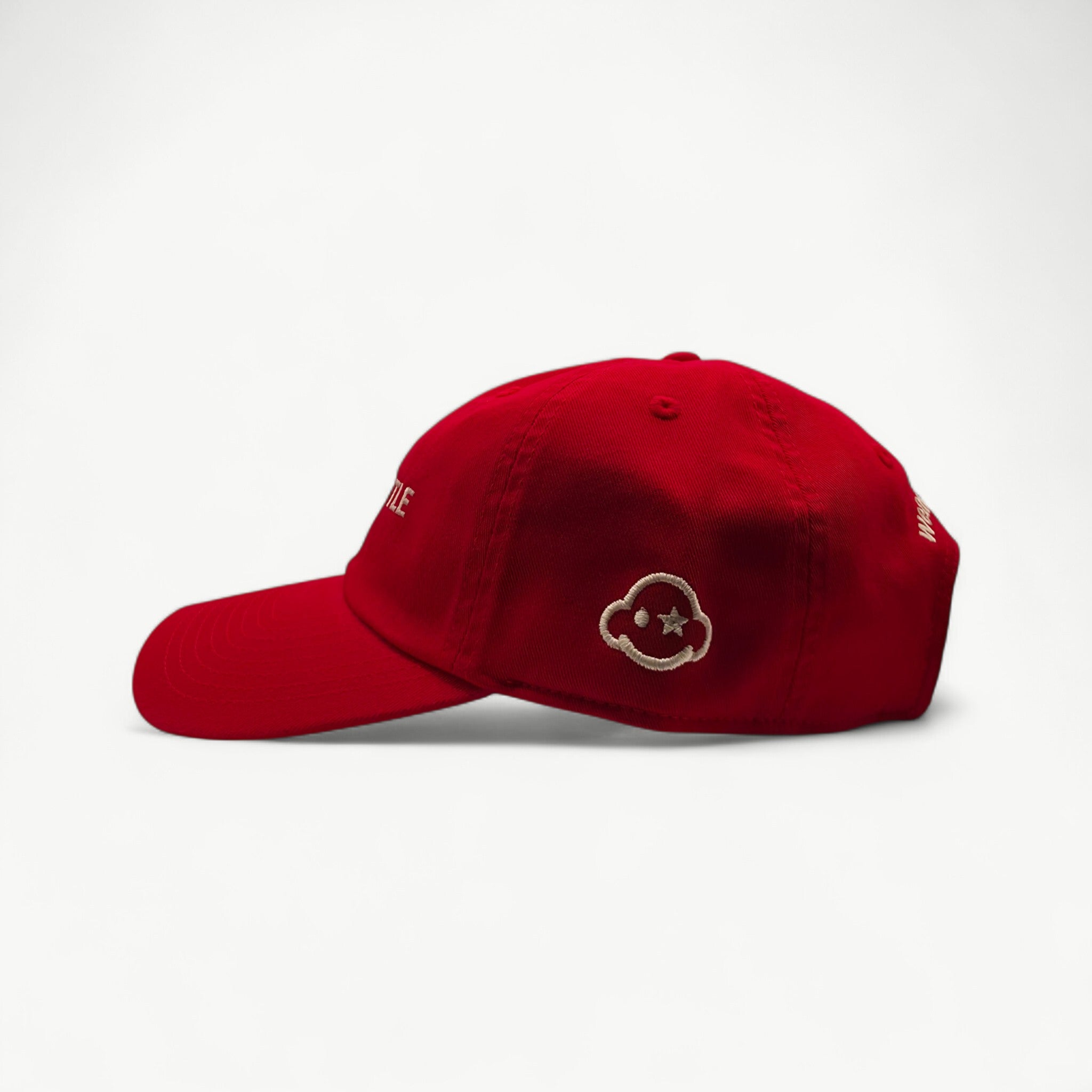 Never Settle | Dad Cap